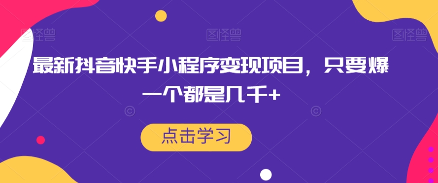 最新抖音快手小程序变现项目，只要爆一个都是几千+-林文副业站