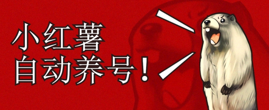 小红书养号秘籍，如何自动涨粉清晰系统标签打造高权重账号【揭秘】-林文副业站