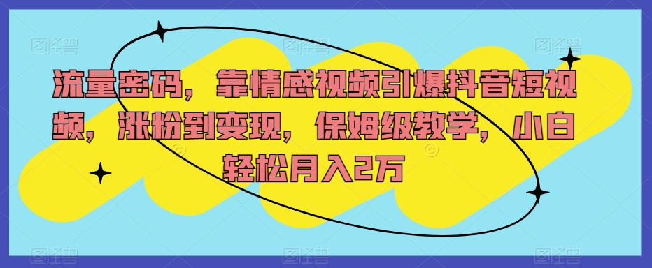 流量密码，靠情感视频引爆抖音短视频，涨粉到变现，保姆级教学，小白轻松月入2万【揭秘】-林文副业站