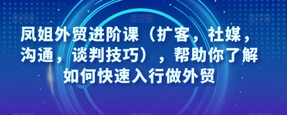 凤姐外贸进阶课（扩客，社媒，沟通，谈判技巧），帮助你了解如何快速入行做外贸-林文副业站