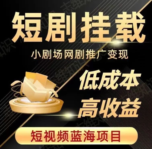 2023短视频蓝海项目，抖音快手短剧推广变现教程，低成本高收益-林文副业站