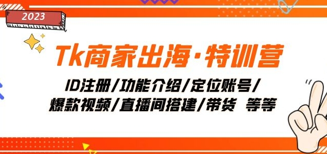 Tk商家出海·特训营：ID注册/功能介绍/定位账号/爆款视频/直播间搭建/带货-林文副业站