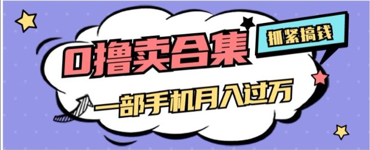 0撸项目月入过万，售卖全套ai工具合集，一单29.9元，一部手机即可【揭秘】-林文副业站