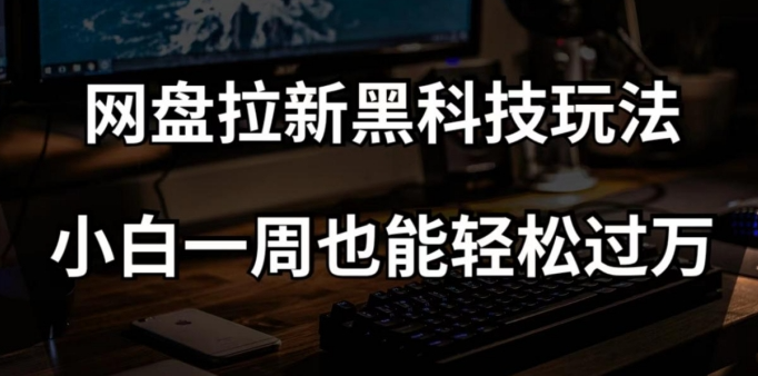 网盘拉新黑科技玩法，小白一周也能轻松过万【全套视频教程+黑科技】【揭秘】-林文副业站