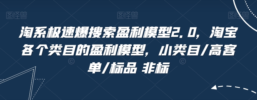 淘系极速爆搜索盈利模型2.0，淘宝各个类目的盈利模型，小类目/高客单/标品 非标-林文副业站