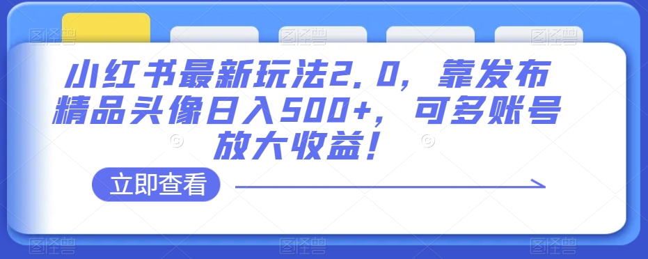 小红书最新玩法2.0，靠发布精品头像日入500+，可多账号放大收益！【揭秘】-林文副业站