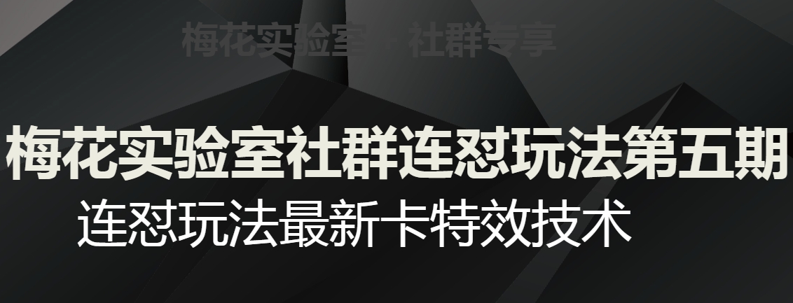 梅花实验室社群连怼玩法第五期，视频号连怼玩法最新卡特效技术-林文副业站