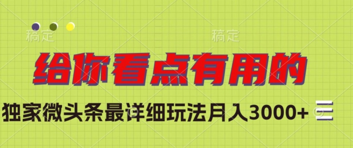 独家微头条最详细玩法，月入3000+【揭秘】-林文副业站