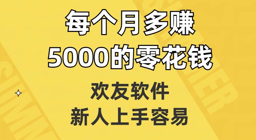 欢友软件，新人上手容易，每个月多赚5000的零花钱【揭秘】-林文副业站