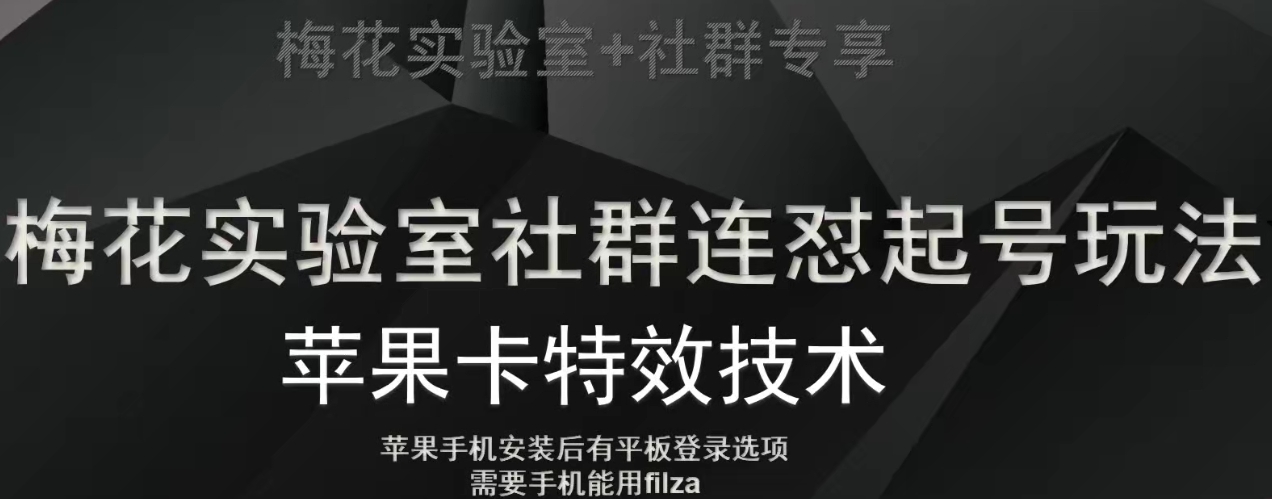梅花实验室社群视频号连怼起号玩法，最新苹果卡特效技术-林文副业站