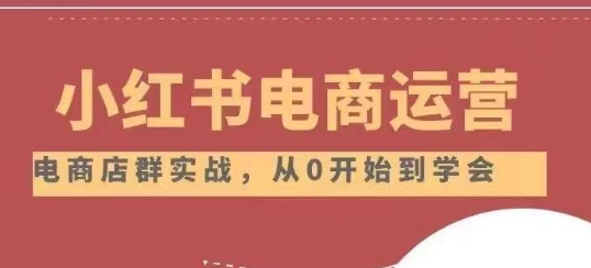 小红书店铺运营从小白到大神2.0，从入门到精通-林文副业站