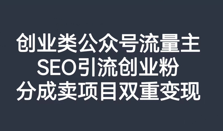 创业类公众号流量主，SEO引流创业粉，分成卖项目双重变现【揭秘】-林文副业站
