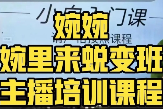 婉婉·婉里来蜕变班（主播课）全方位理解底层逻辑并灵活运用-林文副业站