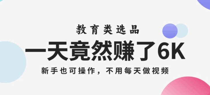 一天竟然赚了6000多，教育类选品，新手也可操作，更不用每天做短视频【揭秘】-林文副业站