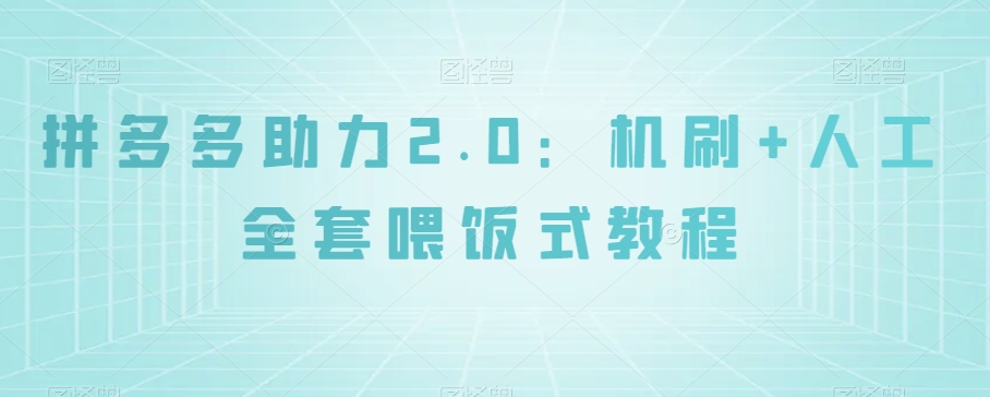 拼多多助力2.0：机刷+人工全套喂饭式教程【揭秘】-林文副业站