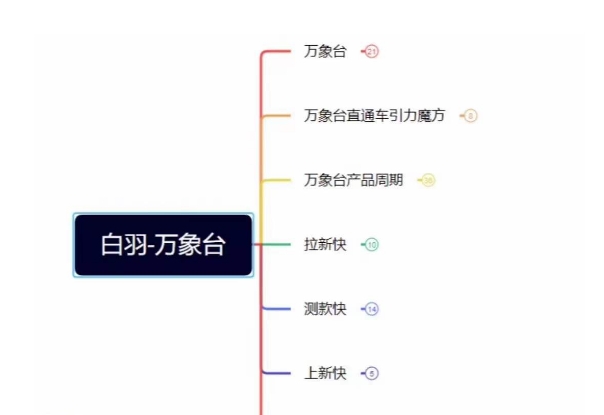 白羽·直引万搜索全篇，从0-1，多个类目实操经验总结付费-林文副业站