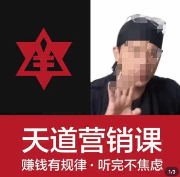 天道老阮-天道营销课，​赚钱有规律，听完不焦虑-林文副业站