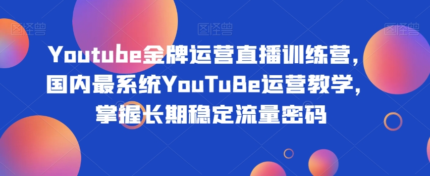 Youtube金牌运营直播训练营，国内最系统YouTuBe运营教学，掌握长期稳定流量密码-林文副业站
