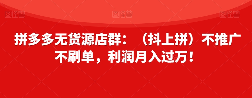 拼多多无货源店群：（抖上拼）不推广不刷单，利润月入过万！【揭秘】-林文副业站