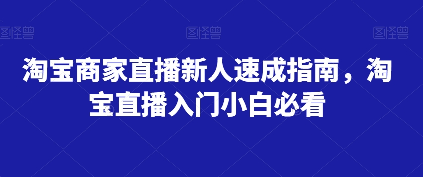 淘宝商家直播新人速成指南，淘宝直播入门小白必看-林文副业站
