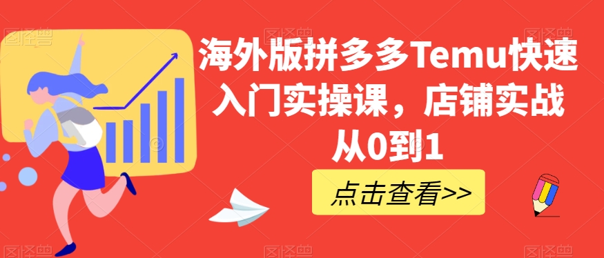 海外版拼多多Temu快速入门实操课，店铺实战从0到1-林文副业站