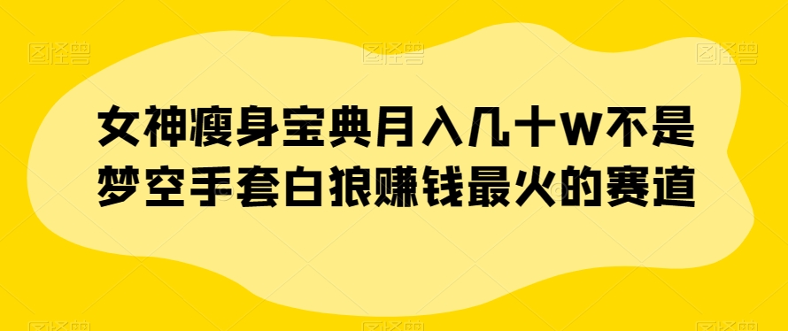 女神瘦身宝典月入几十W不是梦空手套白狼赚钱最火的赛道【揭秘】-林文副业站