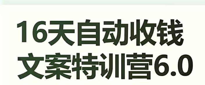 16天自动收钱文案特训营6.0，学会儿每天自动咔咔收钱-林文副业站