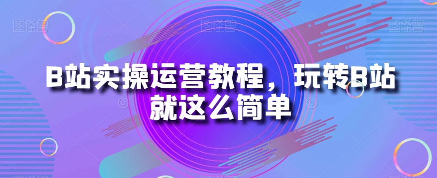 B站实操运营教程，玩转B站就这么简单-林文副业站