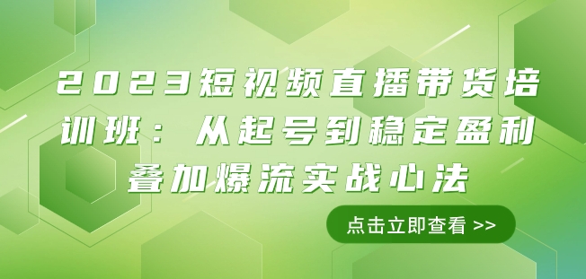 2023短视频直播带货培训班：从起号到稳定盈利叠加爆流实战心法（11节课）-林文副业站