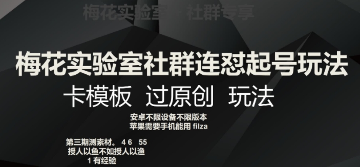 梅花实验室社群连怼起号玩法，卡模板过原创玩法【揭秘】-林文副业站