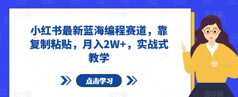 小红书最新蓝海编程赛道，靠复制粘贴，月入2W+，实战式教学【揭秘】-林文副业站
