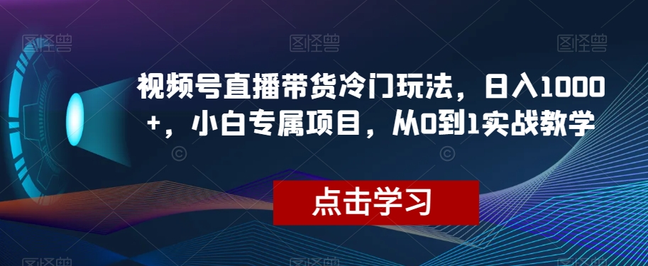 视频号直播带货冷门玩法，日入1000+，小白专属项目，从0到1实战教学【揭秘】-林文副业站