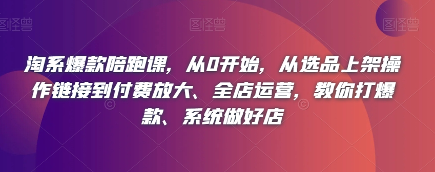 淘系爆款陪跑课，从0开始，从选品上架操作链接到付费放大、全店运营，教你打爆款、系统做好店-林文副业站