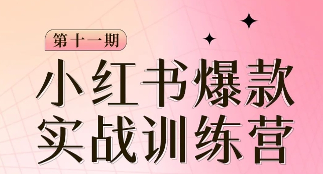 小红书博主爆款训练营第11期，手把手教你从0-1做小红书，从定位到起号到变现-林文副业站