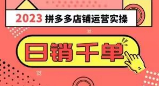 2023拼多多运营实操，每天30分钟日销1000＋，爆款选品技巧大全（10节课）-林文副业站