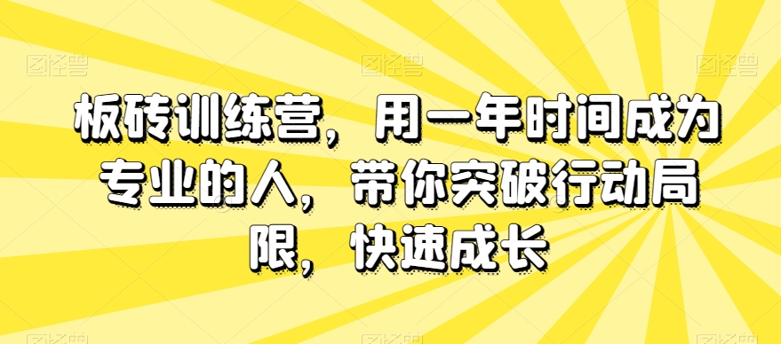 板砖训练营，用一年时间成为专业的人，带你突破行动局限，快速成长-林文副业站