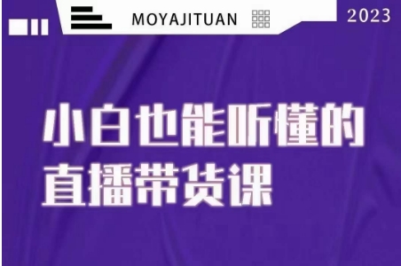 大威本威·能听懂的直播带货课，小白也能听懂，20节完整-林文副业站