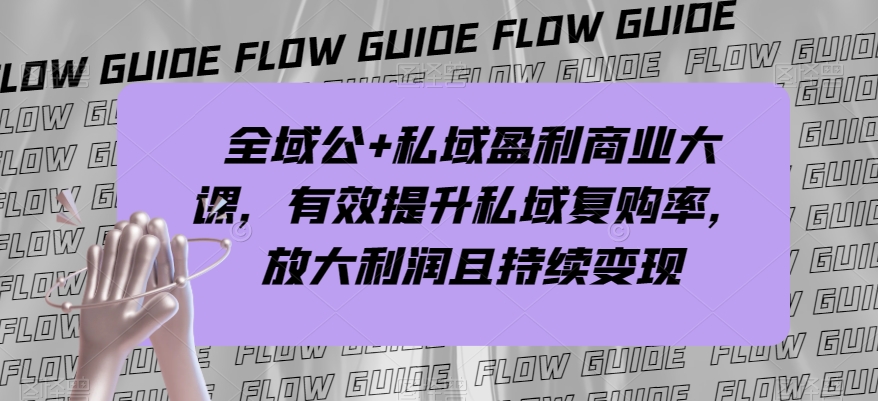 全域公+私域盈利商业大课，有效提升私域复购率，放大利润且持续变现-林文副业站