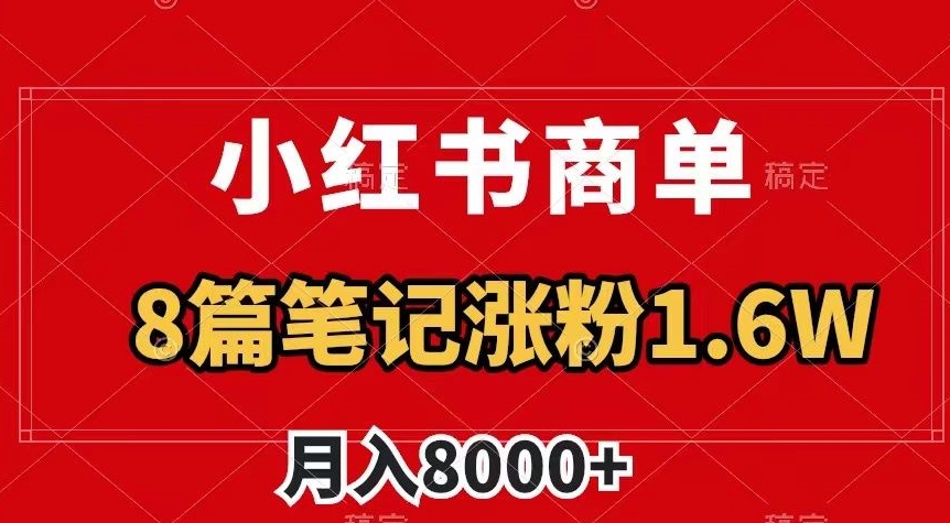 小红书商单最新玩法，8篇笔记涨粉1.6w，作品制作简单，月入8000+【揭秘】-林文副业站