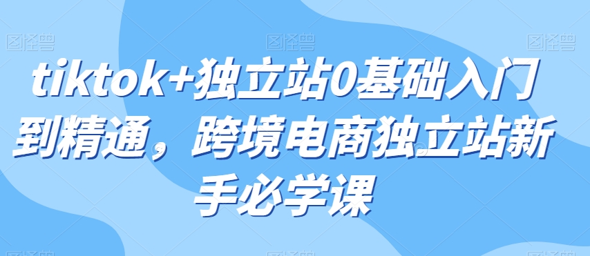 tiktok+独立站0基础入门到精通，跨境电商独立站新手必学课-林文副业站