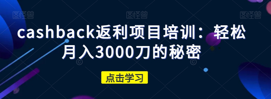 cashback返利项目培训：轻松月入3000刀的秘密-林文副业站