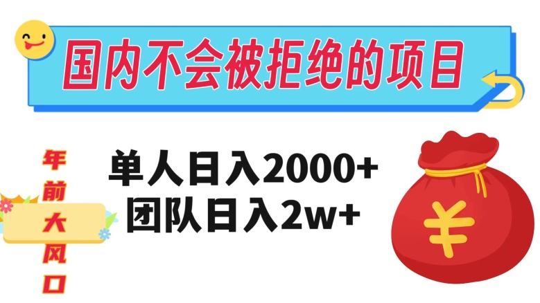 在国内不怕被拒绝的项目，单人日入2000，团队日入20000+【揭秘】-林文副业站