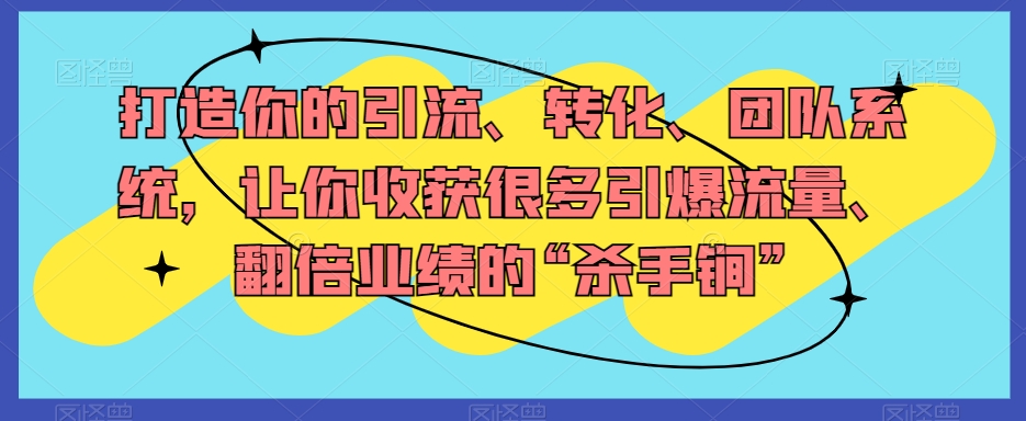 打造你的引流、转化、团队系统，让你收获很多引爆流量、翻倍业绩的“杀手锏”-林文副业站