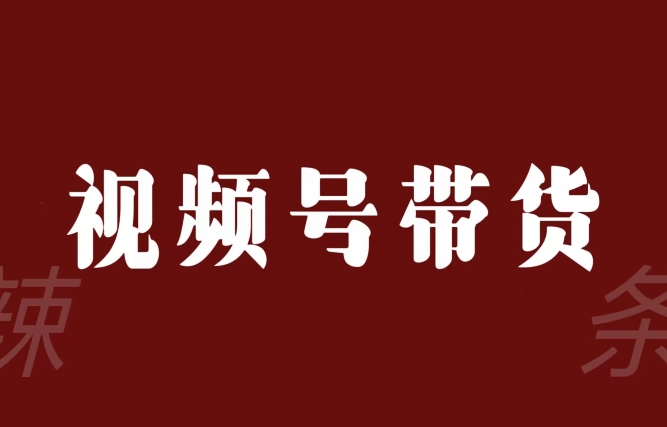 视频号带货联盟，赚信息差的带货钱，只需手机随时随地都可以做！-林文副业站