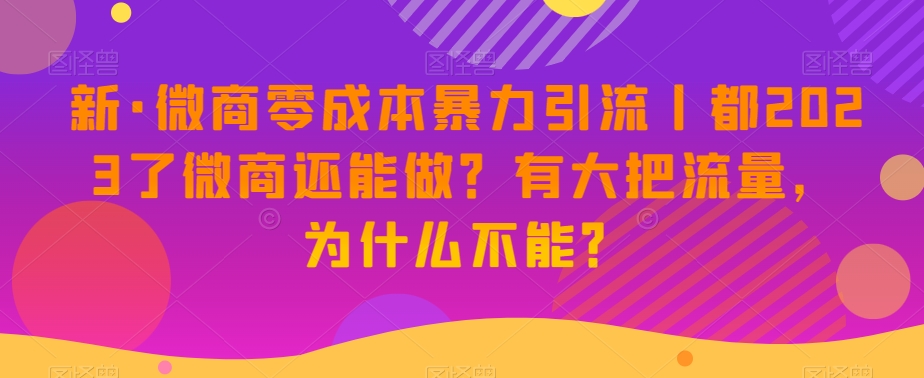 新·微商零成本暴力引流丨都2023了微商还能做？有大把流量，为什么不能？-林文副业站
