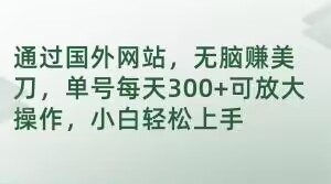 通过国外网站，无脑赚美刀，单号每天300+可放大操作，小白轻松上手【揭秘】-林文副业站