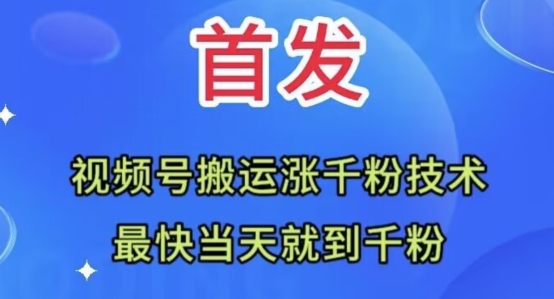 全网首发：视频号无脑搬运涨千粉技术，最快当天到千粉【揭秘】-林文副业站