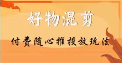 【万三】好物混剪付费随心推投放玩法，随心投放小课抖音教程-林文副业站