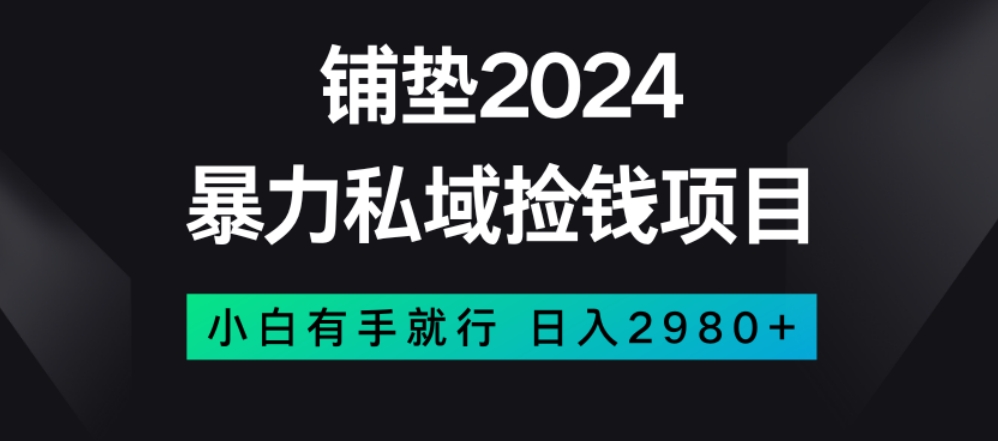 暴力私域捡钱项目，小白无脑操作，日入2980【揭秘】-林文副业站