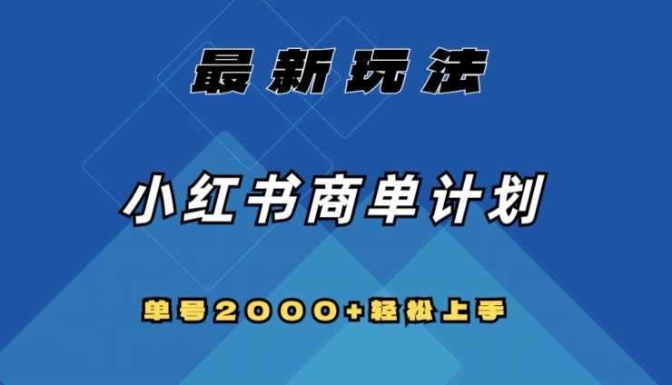 全网首发，小红书商单计划最新玩法，单号2000+可扩大可复制【揭秘】-林文副业站